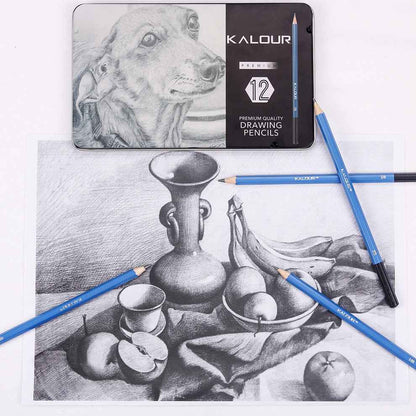 KALOUR 12 Pieces Professional Drawing Sketching Graphite Pencils Set - TTpen