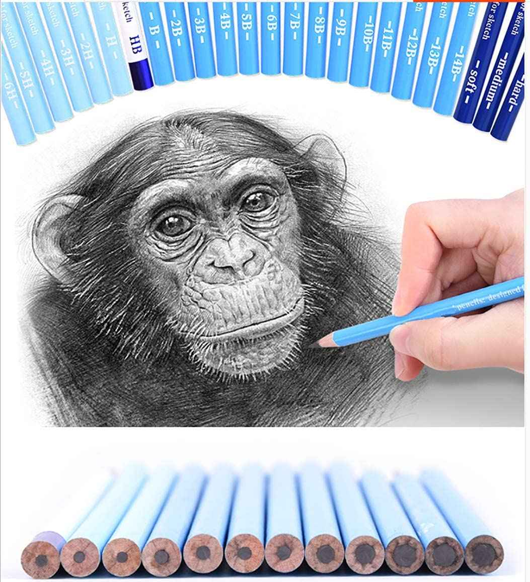 BRUTFUNER 24 Pieces Professional HB Sketching Pencil Set for Drawing Drafting - TTpen